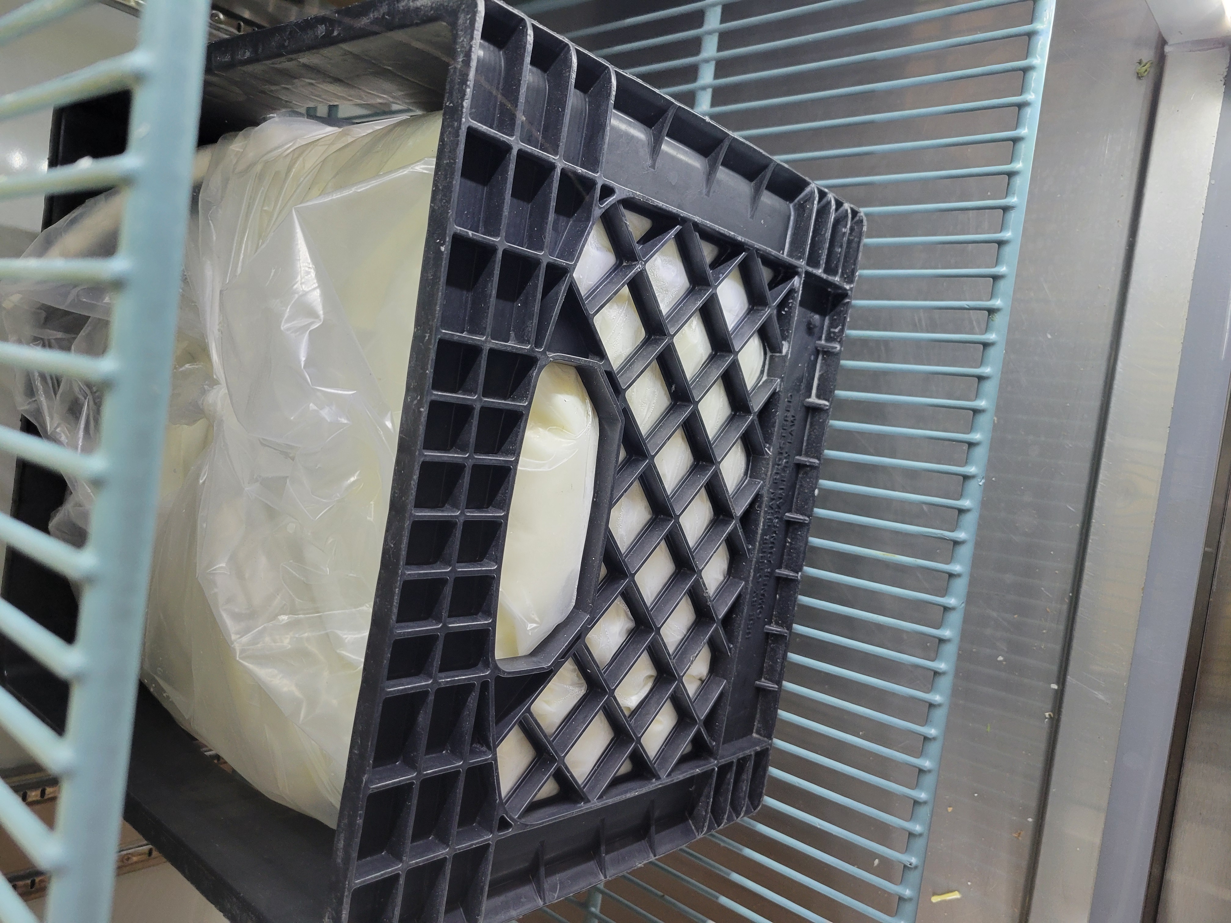 Bag of milk in crate in fridge.